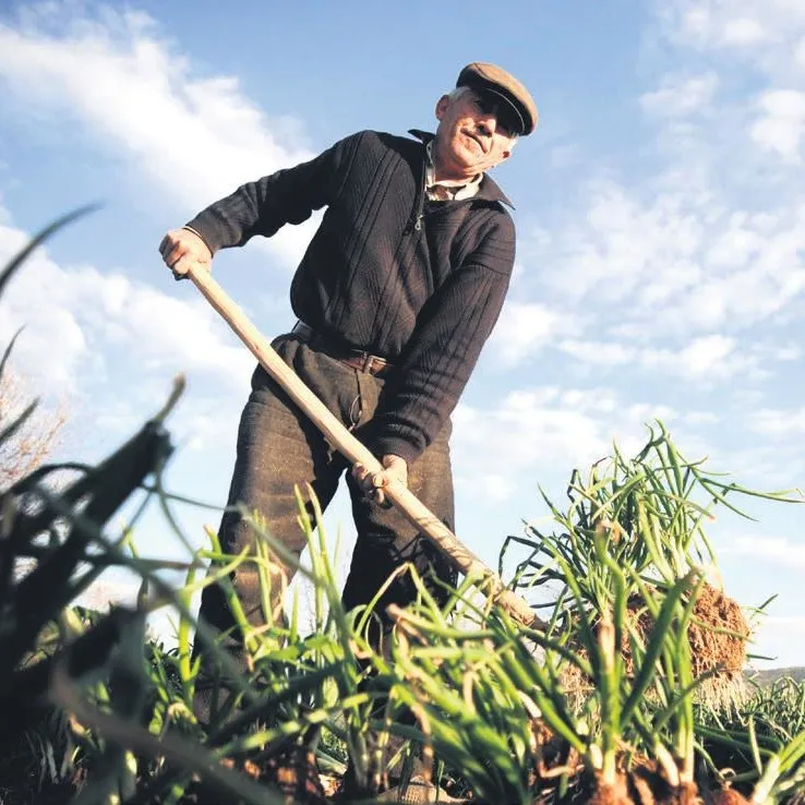 ÇIFTÇILERE 3,2 MILYAR LIRA