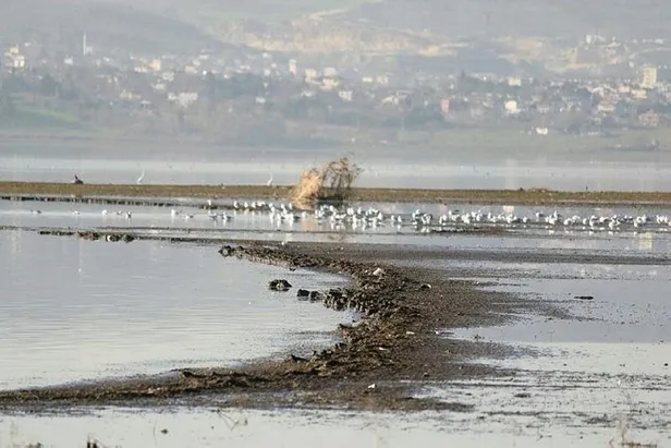 SON DAKİKA: Büyükçekmece Gölü'nde korkutan görüntü: Son 13 yılın en düşük seviyesi olan yüzde 17'ye kadar düştü-3