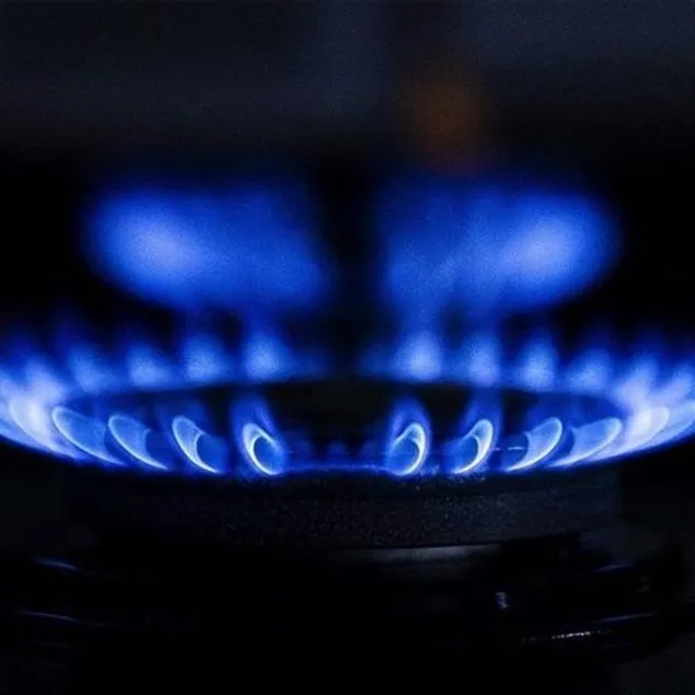 Doğal gaz 2 ay daha devletten