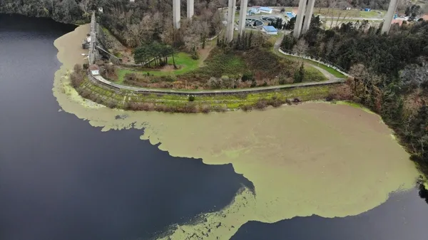 istanbulun-ihtiyacini-karsilayan-elmali-barajinda-su-seviyesi-yuzde-2423e-dustu-yesil-tabaka-kaplandi-1608534700725.jpg İstanbul'un ihtiyacını karşılayan Elmalı Barajı'nda su seviyesi yüzde 24,23'e düştü yeşil tabaka kaplandı-2