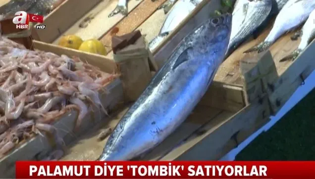 balik satin alirken dikkat palamutta buyuk hile tombik baligini palamut etiketiyle satiyorlar video videosunu izle takvim tv
