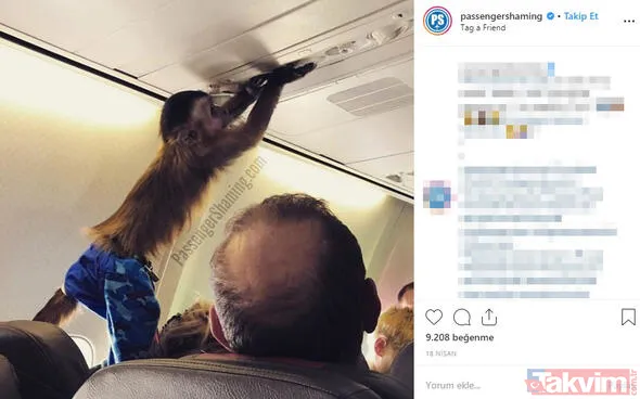 'Bu kadar da olmaz' dedirten iğrenç görüntüler! Mide bulandıran görüntüler - 19