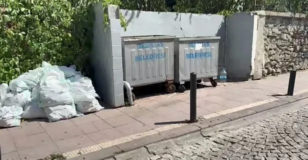 Beşiktaş’ta bebek cesedi bulundu! Annenin ifadesi ortaya çıktı: "Ölü halde poşete koydum"