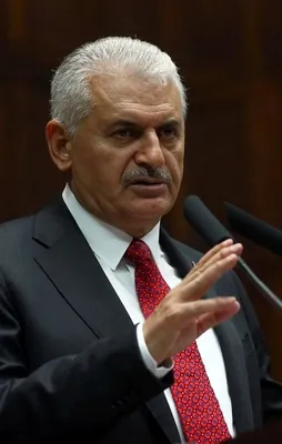 Almanya kararını versin