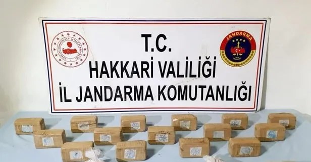 SON DAKİKA:Terör örgütü PKK’ya Hakkari’de büyük darbe
