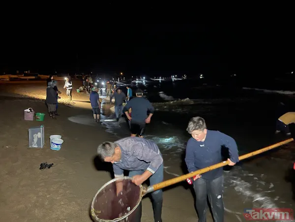 Tonlarca balık kıyıya vurdu! Çuvalı, kovayı kopan sahile koştu - 11