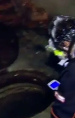 Tuzla'daki kokunun nedeni belli oldu