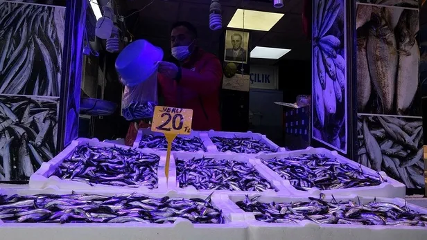 Uzmanlardan 'hamsi' uyarısı: Nesli tükenebilir-4