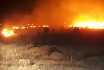 Balıkesir'de park halindeki araçta çıkan yangın ormanlık alana sıçradı!
