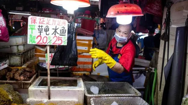 Koronavirüsü dünyanın başına bela eden Çin akıllanmayacak! Bu sefer de kurbağa ve kaplumbağa yiyorlar!-1
