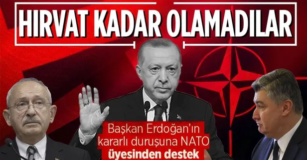 Türkiye’ye Hırvatistan’dan destek