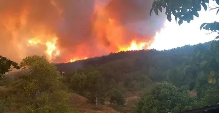 Kastamonu'da orman yangını