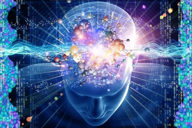 110-yillik-zeka-testi-resimdeki-10-yuz-nerede-sadece-super-zekalar-38-saniyede-bulabildi-1720771722012.jpg Resimdeki 10 yüz nerede? 110 yıllık zeka testi: Sadece süper zekiler 38 saniyede bulabiliyor-5