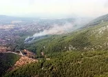 Muğla'da orman yangını (Video)