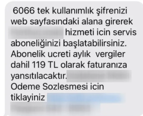 Seçimlerden önce yeni dolandırıcılık yöntemine dikkat: "Seçmen kaydınızı sorgulayın" tuzağı-4