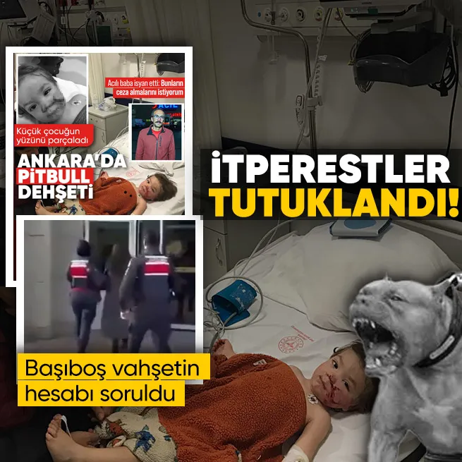 Ankarada pitbull dehşeti: Köpek sahibi tutuklandı