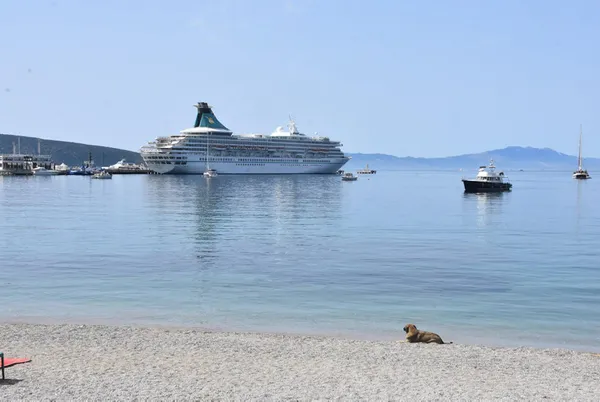 bodruma-sezonun-ilk-kruvaziyeri-geldi-526-turist-getirdi-1650713608532.jpg Bodrum'a sezonun ilk kruvaziyeri geldi! 526 turist getirdi-5