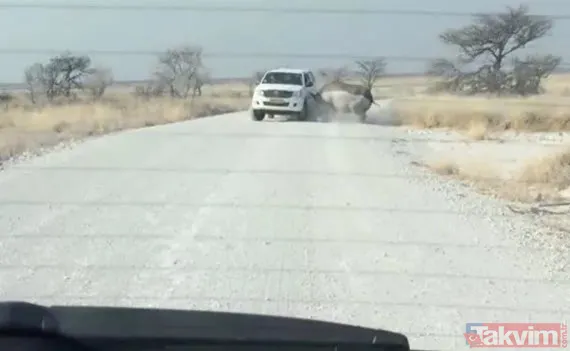 Sadece fotoğraf çektirmek istedi genç kız hayatının şokunu yaşadı! Bir anda üzerine atladı ne var yok... - 16