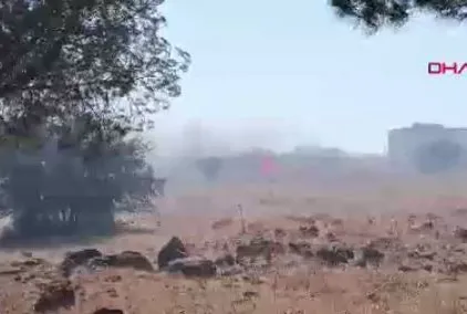 İzmir Foça’da yangın!