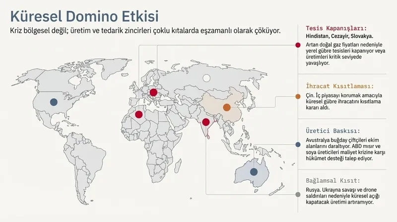 iran-savasi-surerken-kuresel-gida-arzi-tehlikeli-bir-darbogazla-karsi-karsiya-1774650732222.jpeg İran savaşı sürerken küresel gıda arzı tehlikeli bir darboğazla karşı karşıya-5