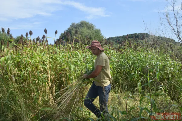 Kilosu 100 lira! Pişmesi 10 saati bulan şeker kamışı pekmezi yok satıyor - 7