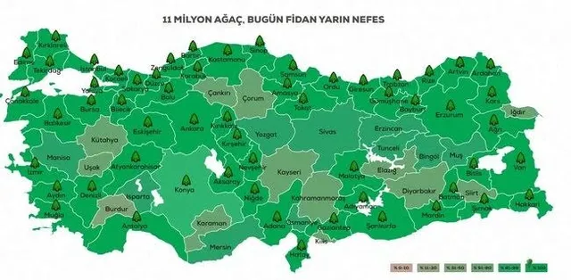 Geleceğe Nefes katılım belgesi nasıl alınır?-2