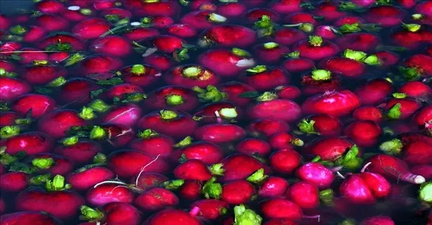 Şifa dolu turpun faydaları nelerdir?