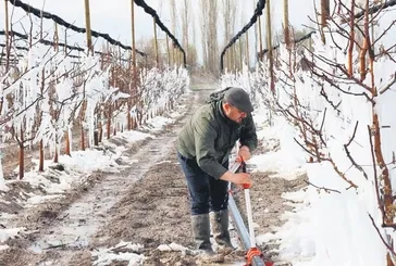 Zirai don fırsatçısına geçit yok