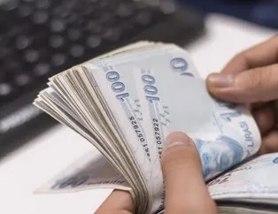 1.177 lira destekten kimler yararlanabilir?