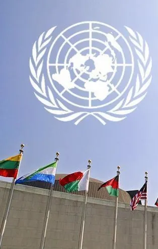 BM'den flaş Arakan kararı!