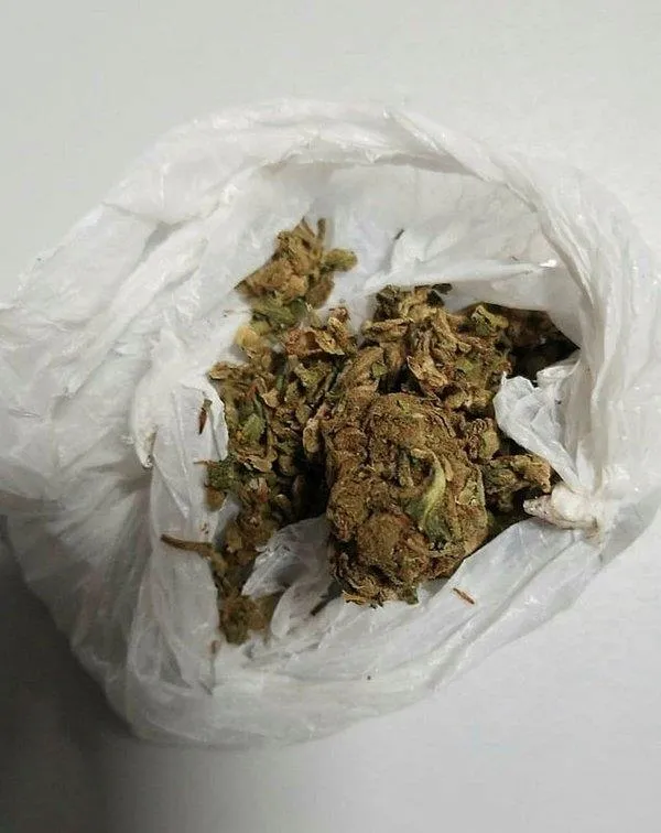 Son dakika: Kobani soruşturmasıyla ilgili 46 kişi gözaltına alındı-6