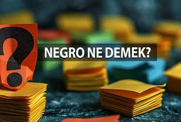 Negro Ne Demek?