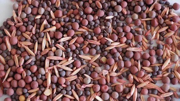 dolardaki-sert-dususun-ardindan-bir-indirim-de-yem-fiyatlarinda-1640147388901.jpg Dolardaki sert düşüşün ardından bir indirim de yem fiyatlarında-5