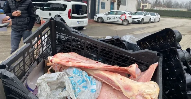 Son dakika: Yer: Düzce! Eti sıyrılmış at kemiği bulunmuştu! Görüntüler ortaya çıktı