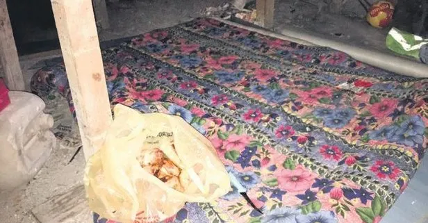 Çatıda 8 günlük dehşet: Liseli Elanur, kuru ekmek ve suyla hayatta kaldı