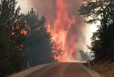Bolu Göynük'te orman yangını!
