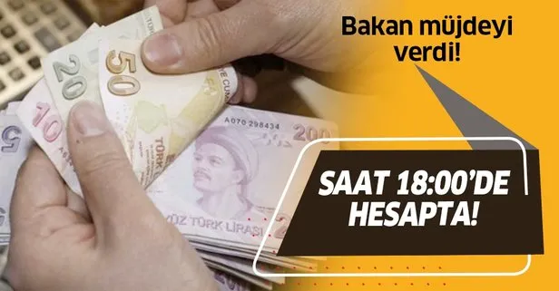 Dikkat! Ödemeler 18:00’da hesapta! Bakan Pakdemirli duyurdu