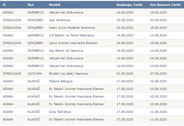 Günlük 90 TL aylık 2.700 TL ile en az ilkokul mezunu SGK'lı sigortalı iş müjdesi! İŞKUR'dan başvuru şekli ve şartları...-5