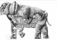 Resimdeki 16 hayvanı bulabilir misin? Yalnızca yüksek IQsu olanlar 15 saniyede görüyor