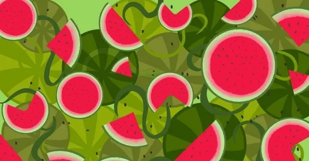 535 kişiden sadece 3'ü başarabildi! Zeka testi: Karpuzların içindeki yılan nerede?