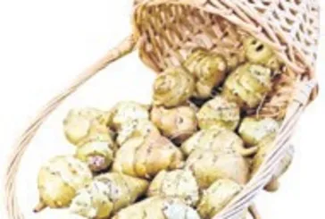 Hemoroide yer elması