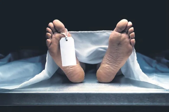 Prof. Dr. Nihat Hatipoğlu kaleme aldı: Keşke demeniz fayda sağlamayacak