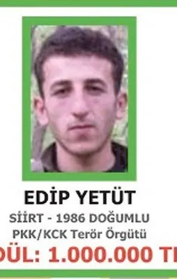 Diyarbakır Lice'de terör operasyonu
