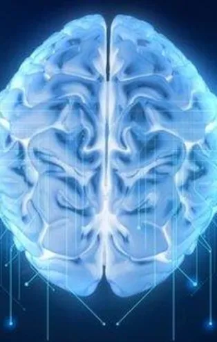 Keskın hafızanın sırrı incir