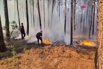 Eskişehir'de orman yangını!