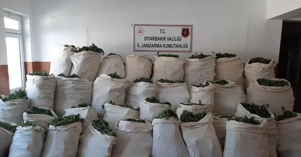 Son dakika: Diyarbakır’da zehir tacirlerine ağır darbe! 1 milyon 119 bin kök kenevir ve 756 kilogram esrar ele geçirildi