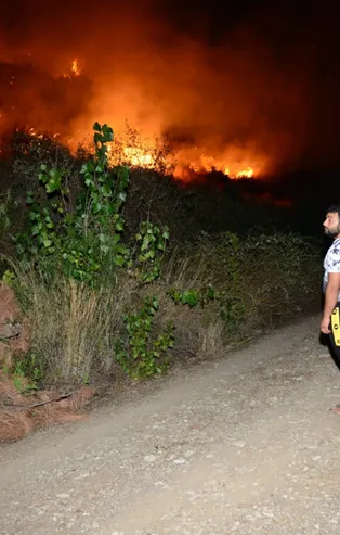 Son dakika: Antalya'da makilik alanda yangın