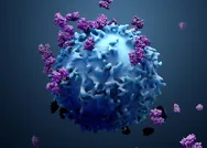 Koronavirüse karşı bağışıklık sisteminizi güçlendirin! Bağışıklık sistemini güçlendirici besinler...