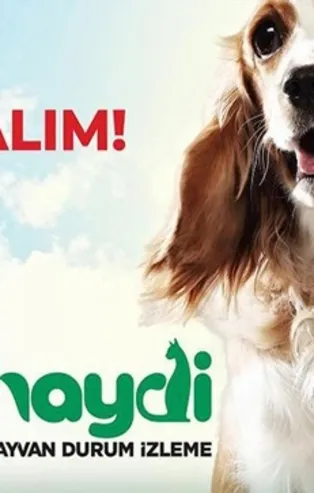 Haydi uygulaması nedir? Nasıl indirilir? EGM Haydi uygulamasından hayvan polisi nasıl çağrılır?