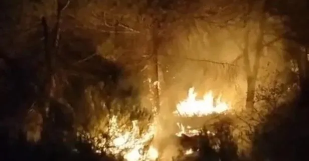 Alevler geceyi aydınlattı! İstanbul Çekmeköy’de orman yangını